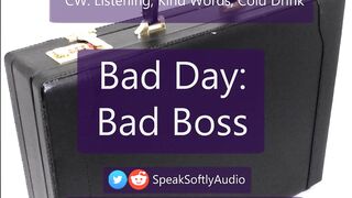 Pillow Talk: Bad Day-Bad Boss