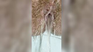 Hairy Pussy Girl Peeing Close Up in the Toilet Labia Spread with Wide Open Pee Hole