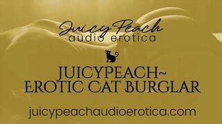 JuicyPeach~Erotic Cat Burglar: She's only here for your pleasure.