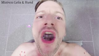 Do you dream of Mistress pissing in your mouth? My good boy loves it and always plays with my pee