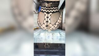 horny bikini barista suctions dildo to fridge during shift - venessasbutt